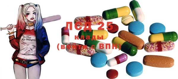 PSILOCYBIN Гусев