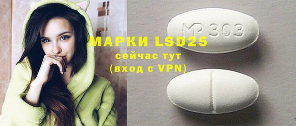PSILOCYBIN Гусев