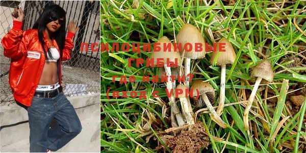 кокс Гусиноозёрск