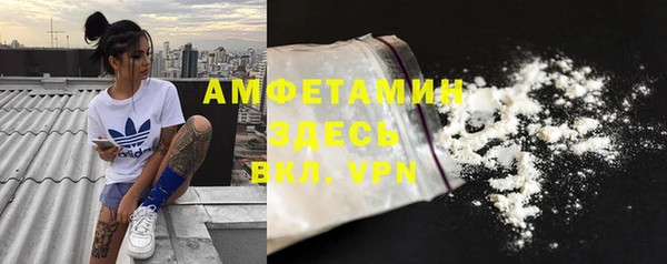 PSILOCYBIN Гусев