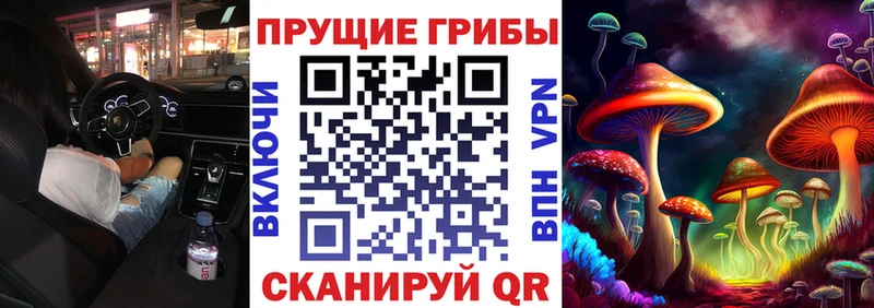 Купить где  Мезень  Галлюциногенные грибы Psilocybe 